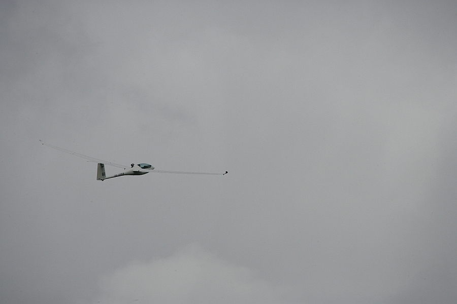 img 315.JPG